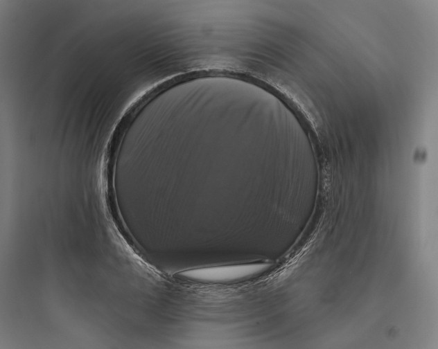 X0000093740983200711061020