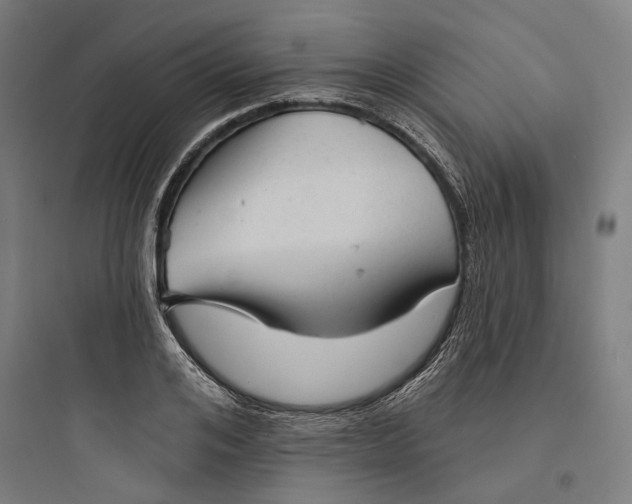 X0000093740984200711061020