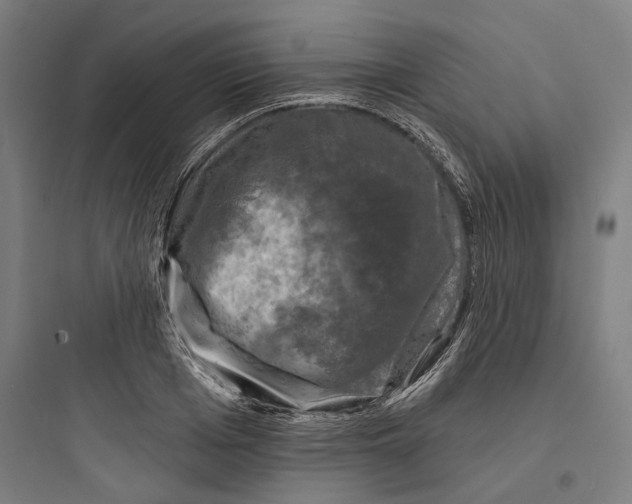 X0000093740985200711061020