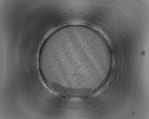 X0000093740986200711061020