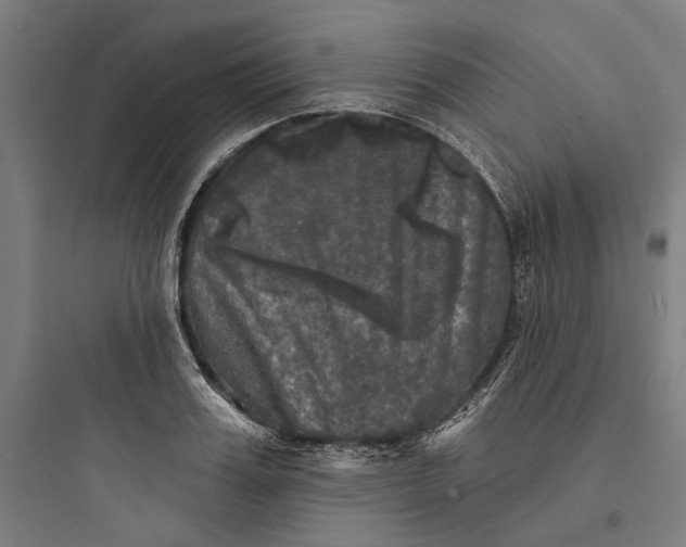 X0000093740987200711061020