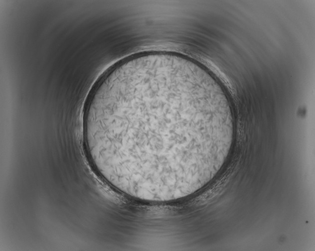 X0000093740988200711061020