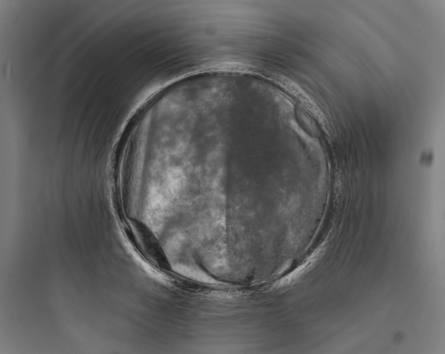 X0000093740989200711061020