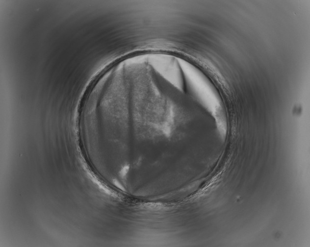 X0000093740990200711061020