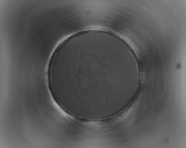 X0000093740995200711061020