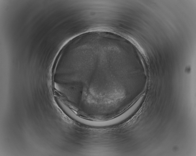 X0000093740996200711061020