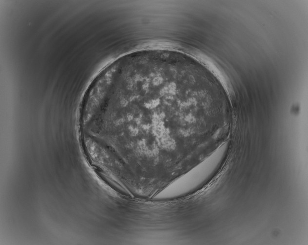 X0000093740997200711061019