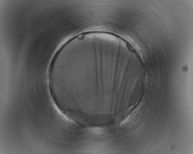 X0000093740998200711061019