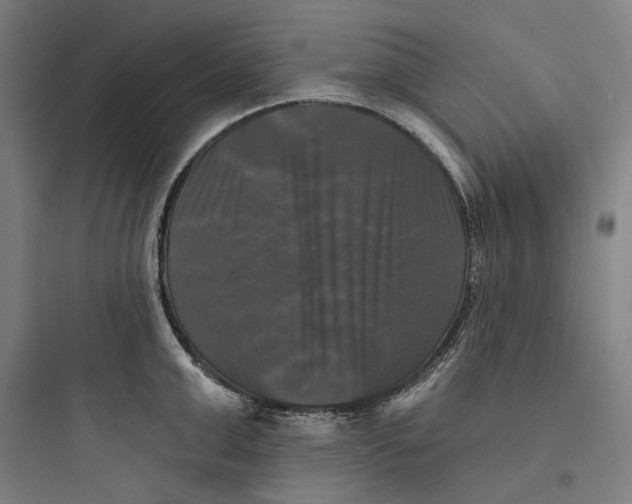 X0000093740999200711061019