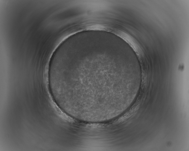 X0000093741000200711061019