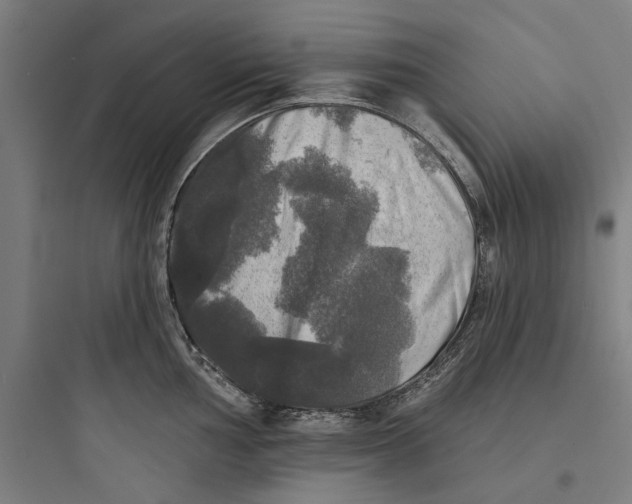 X0000093741002200711061019