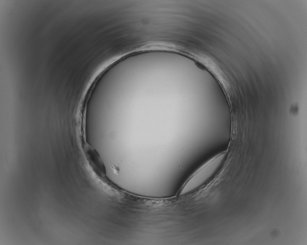 X0000093741003200711061019