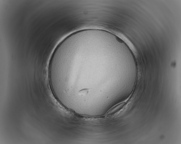 X0000093741004200711061019