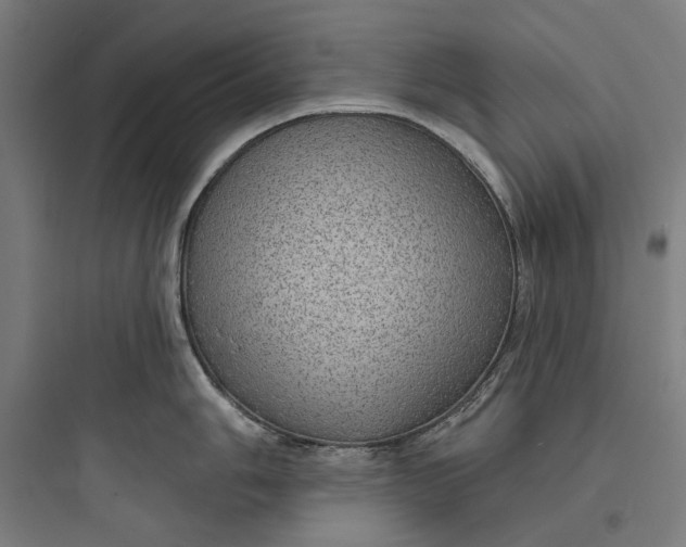 X0000093741006200711061019