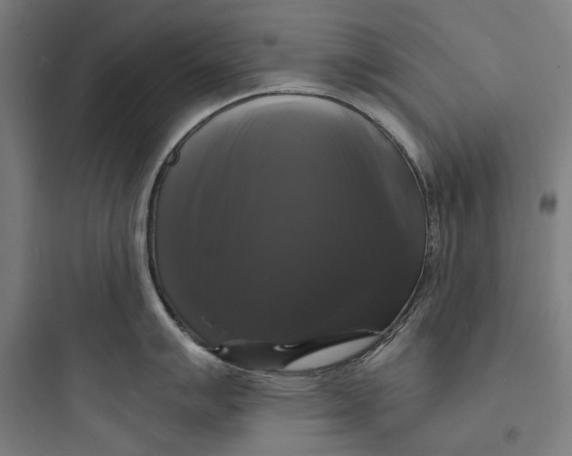 X0000093741007200711061019