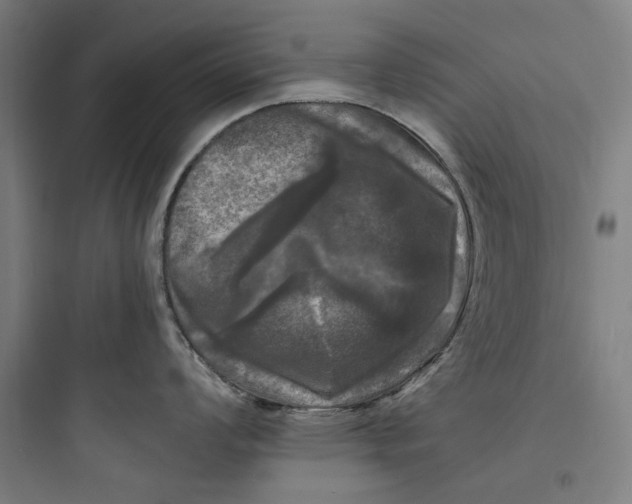 X0000093741008200711061019