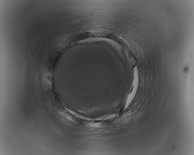 X0000093741010200711061018