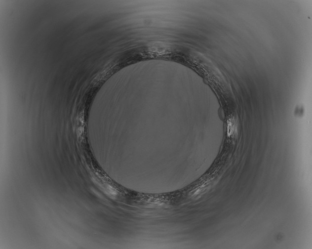 X0000093741011200711061018