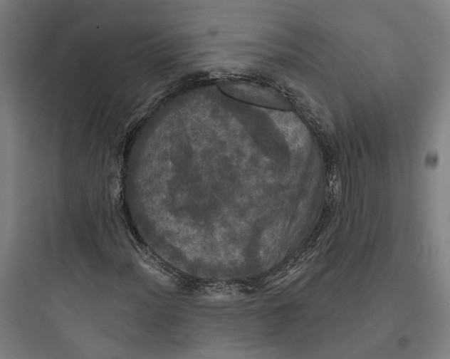 X0000093741012200711061018