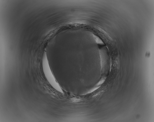 X0000093741014200711061018