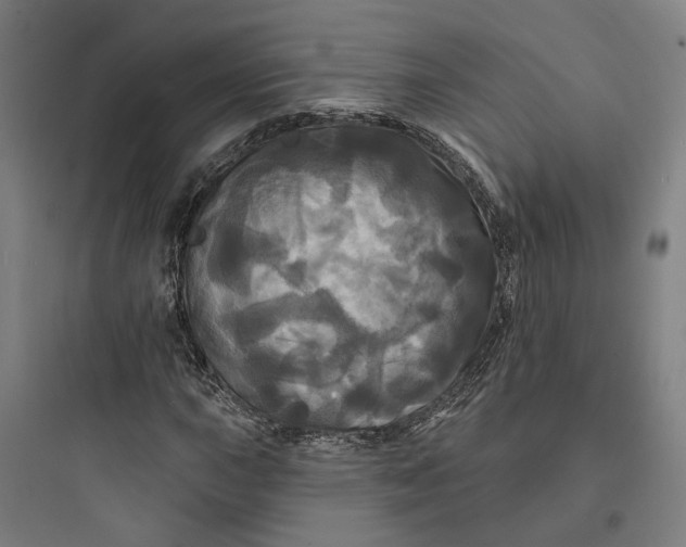 X0000093741015200711061018