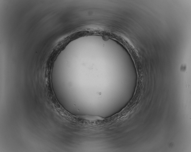 X0000093741016200711061018