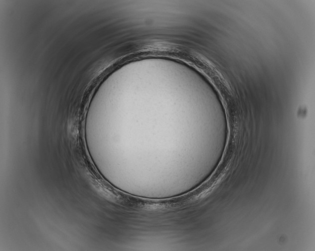 X0000093741017200711061018