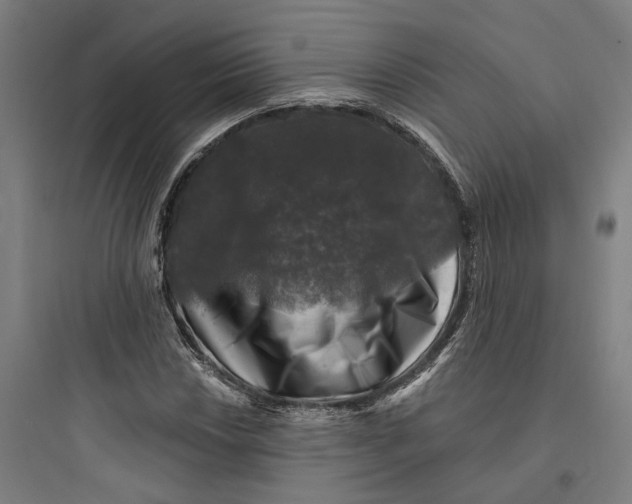 X0000093741018200711061018