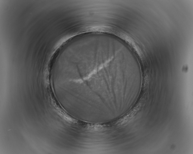 X0000093741019200711061018