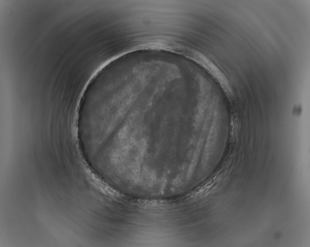 X0000093741020200711061018