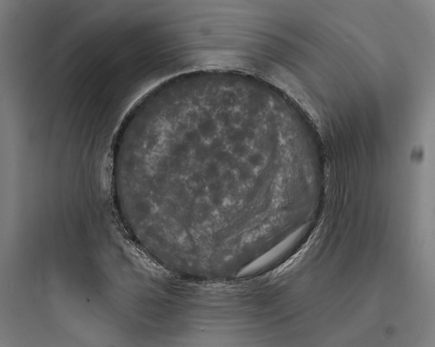 X0000093741021200711061019