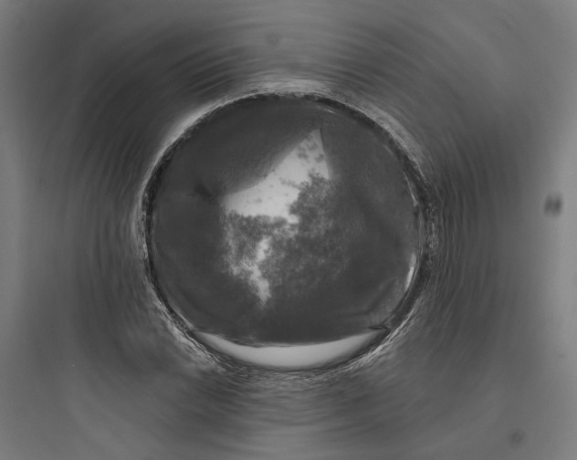 X0000093741022200711061019