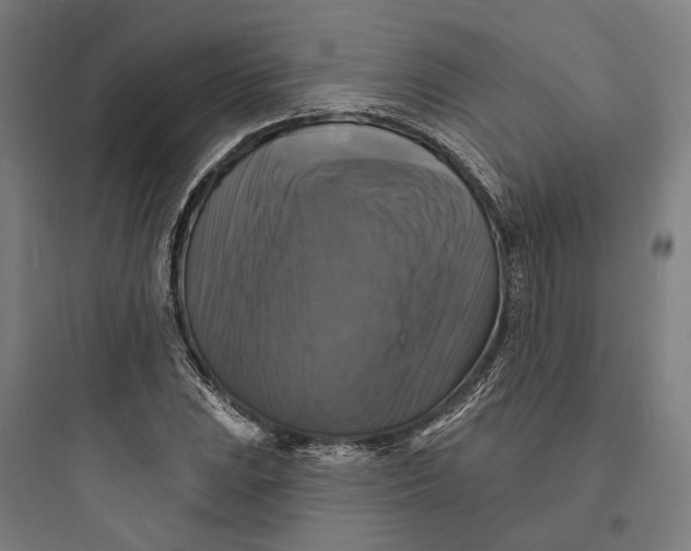 X0000093741023200711061019