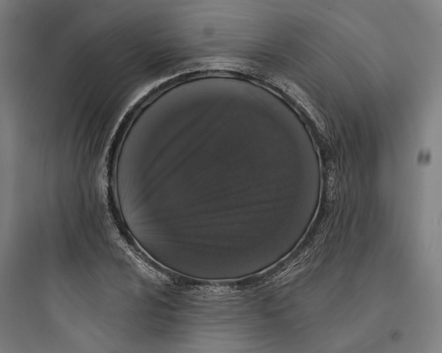 X0000093741024200711061019