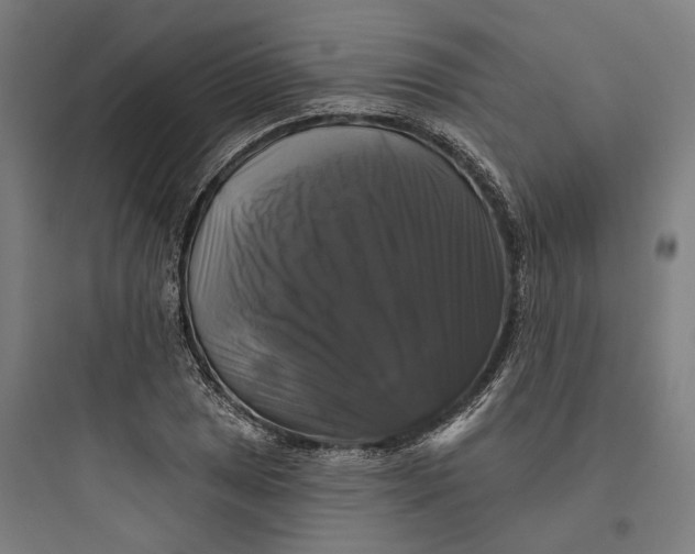 X0000093741025200711061019