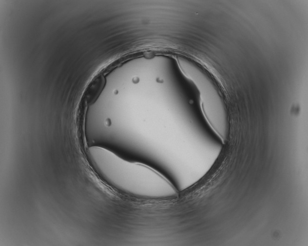 X0000093741026200711061019