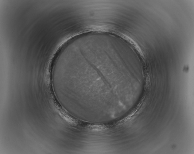 X0000093741027200711061019