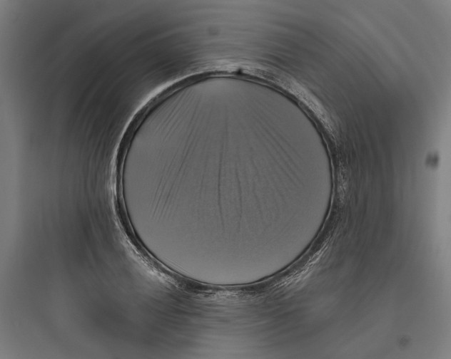 X0000093741028200711061019