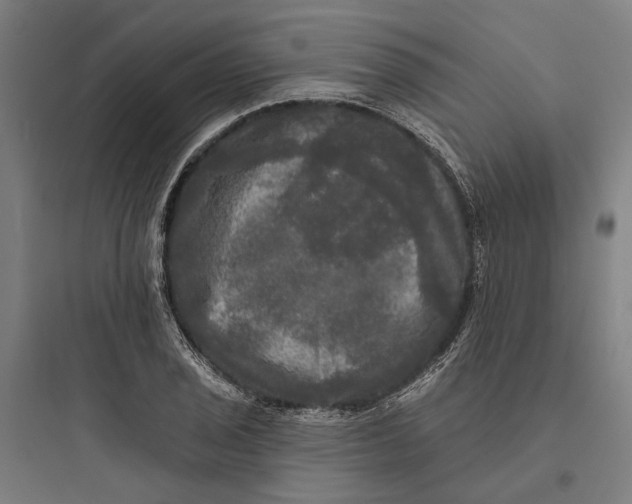 X0000093741029200711061019