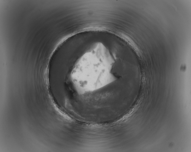 X0000093741030200711061019