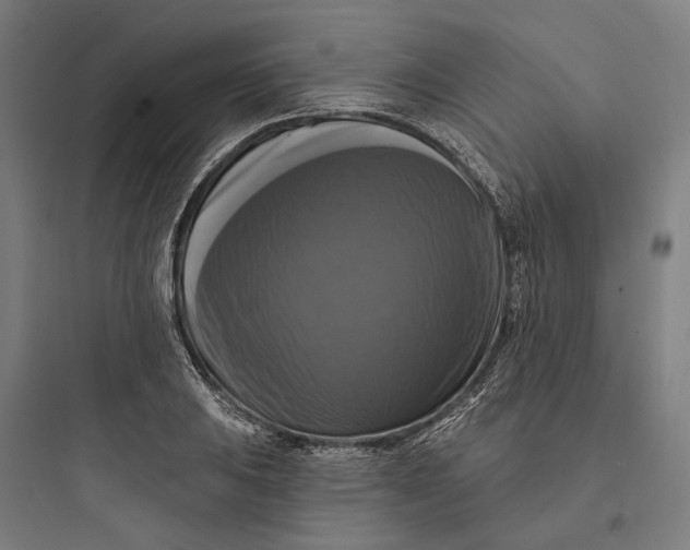 X0000093741031200711061019