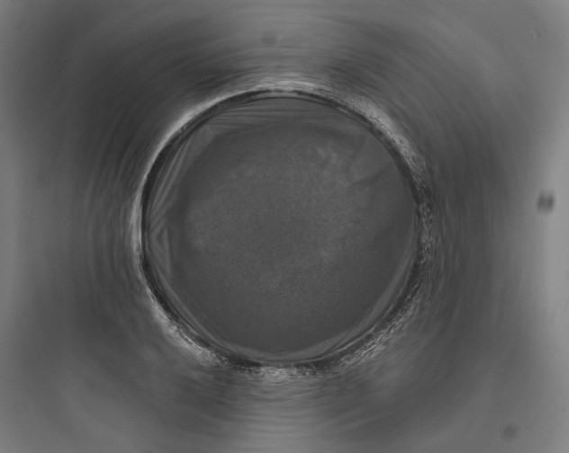 X0000093741032200711061019