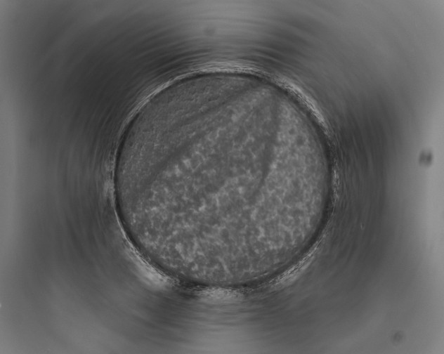 X0000093741033200711061019