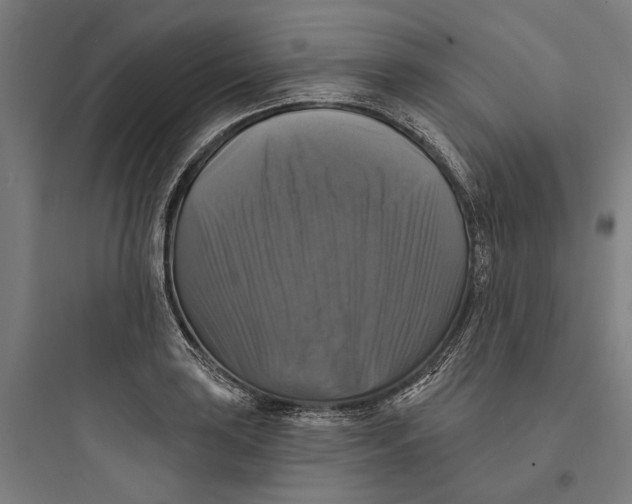 X0000093741035200711061019