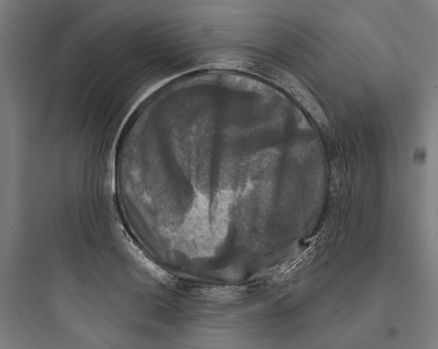 X0000093741036200711061019