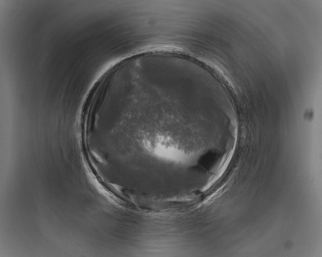 X0000093741038200711061019