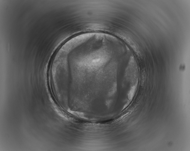 X0000093741039200711061019