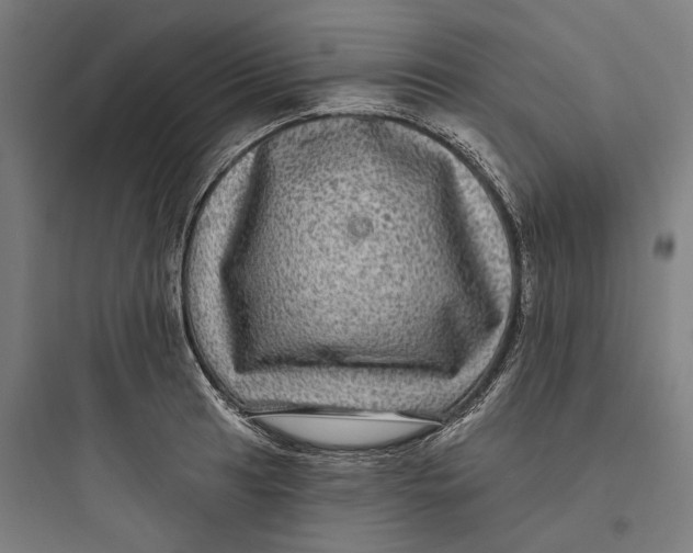 X0000093741041200711061019