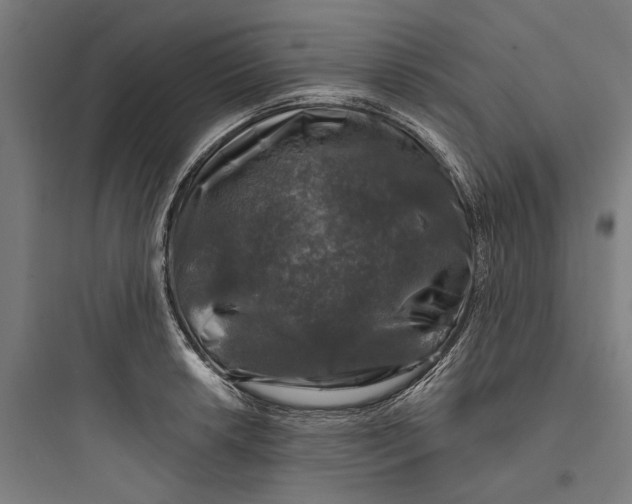 X0000093741042200711061019