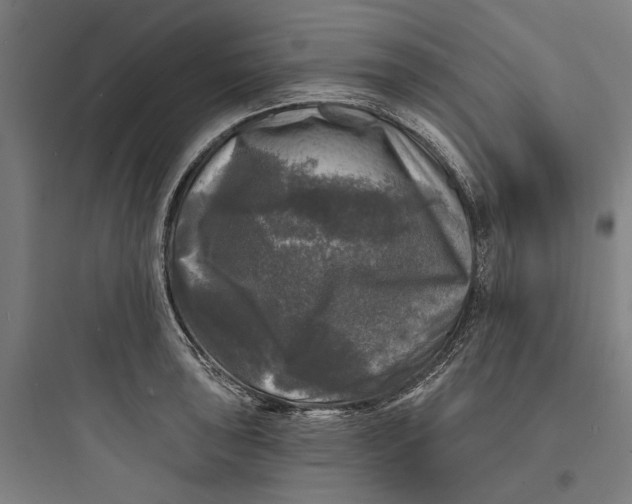 X0000093741043200711061019